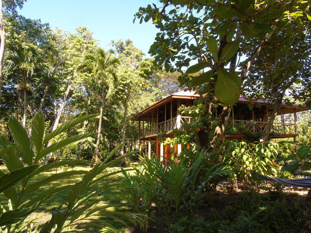 Punta Preciosa Bed and Breakfast Puerto Jiménez Exterior foto